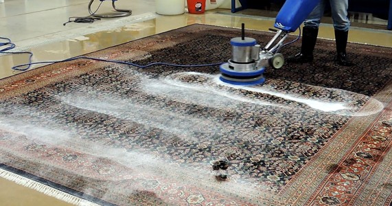 rug cleaning raleigh pettyjohns