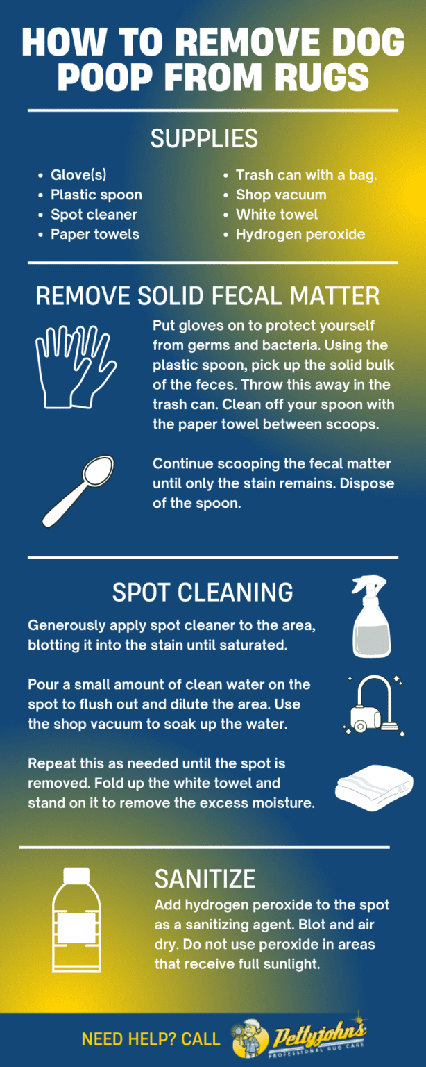 How to Remove Dog Poop From Rugs Infographic Pettyjohn's